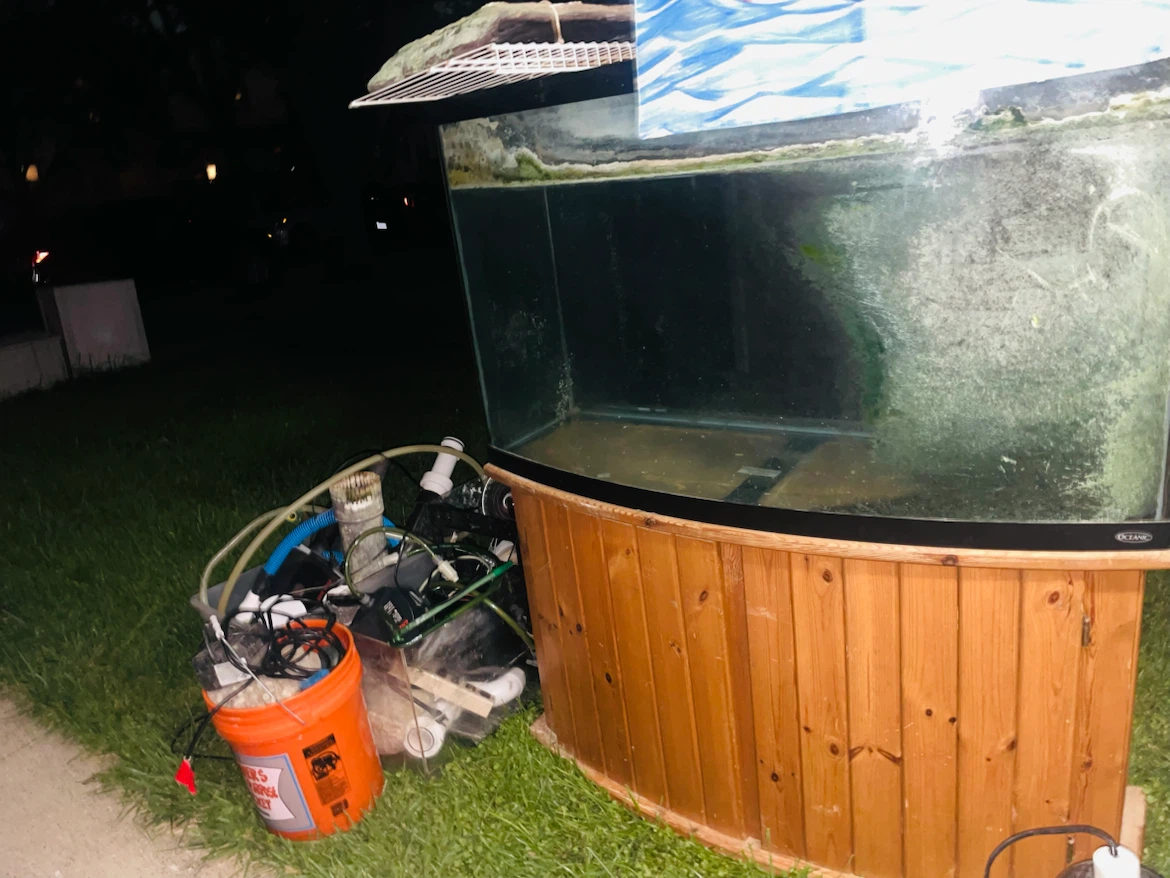 90 gallon Oceanic fish tank with stand and supplies