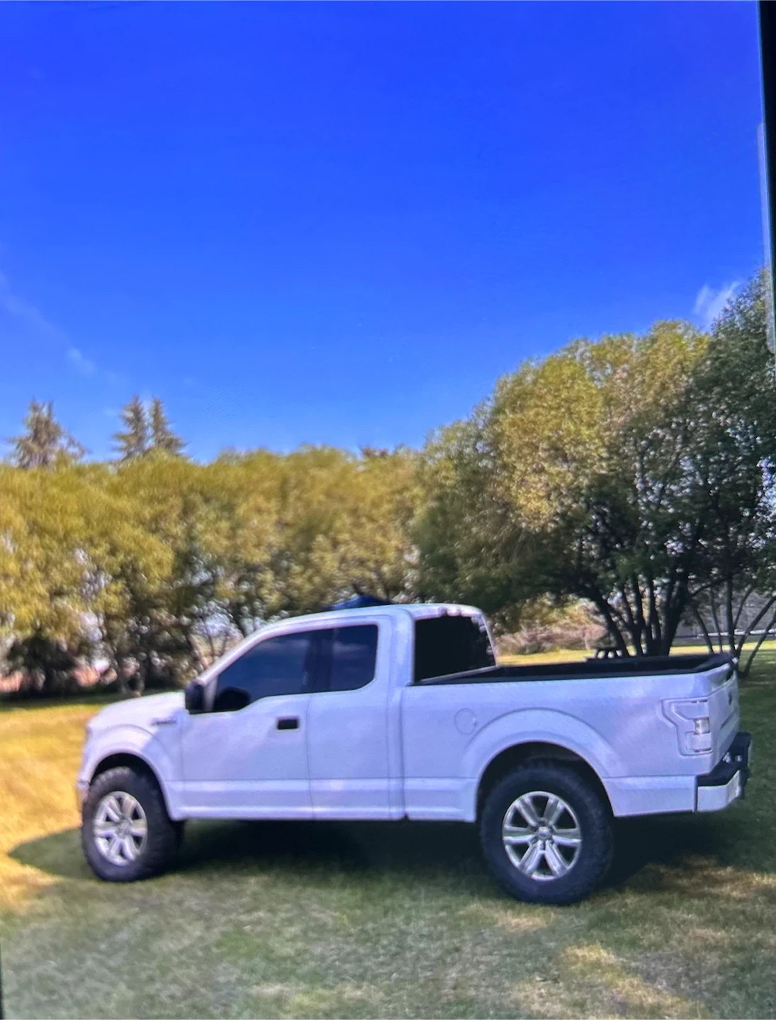 2015 fort f 150 5.0 coyote - photo 3