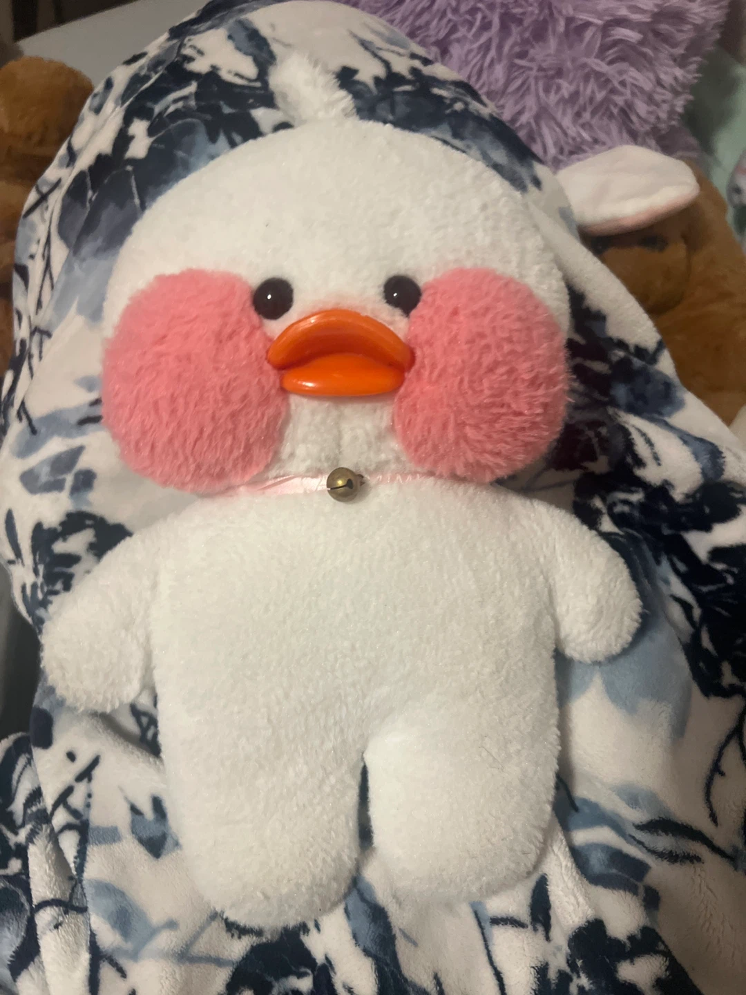 Lalafanfan duck