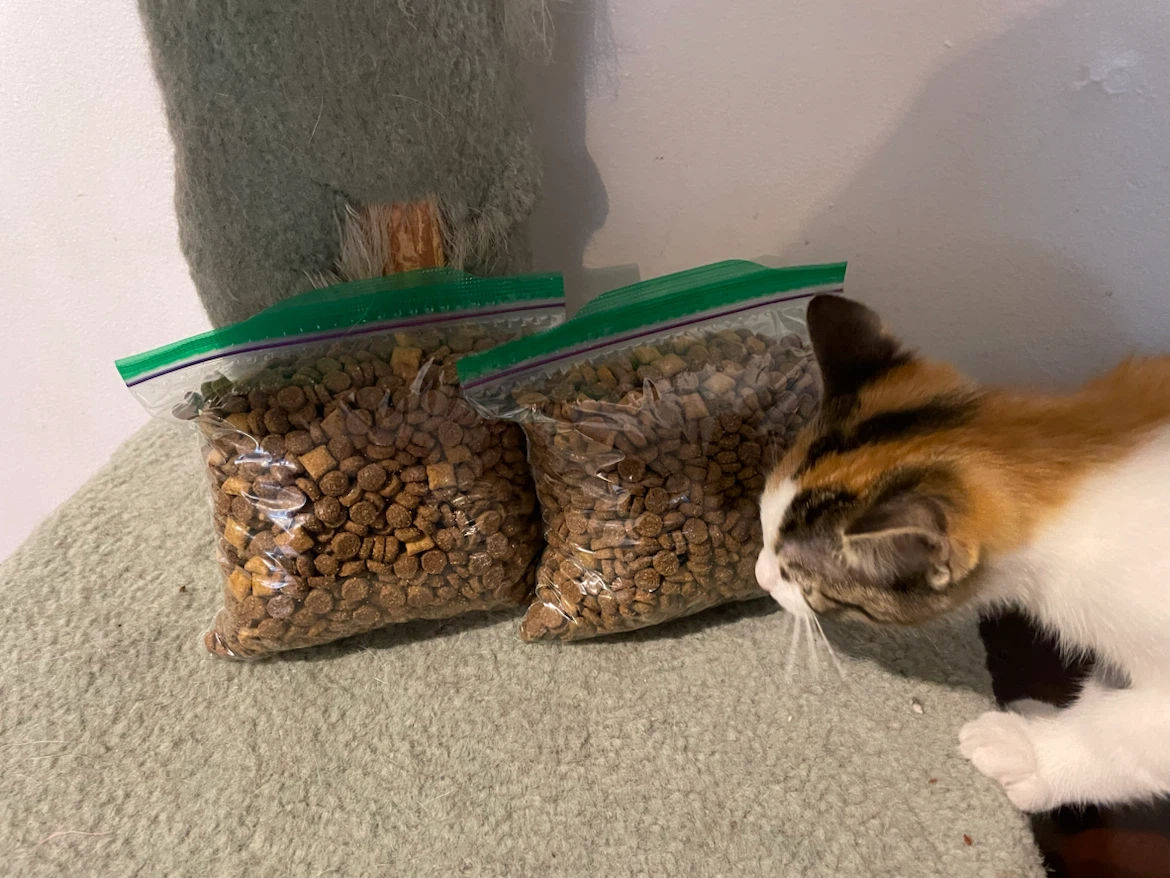 FREE Cat Food Dry