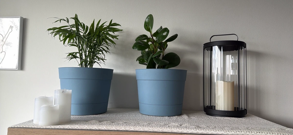 Set of 2 Potted Indoor Plants and Black Lantern
