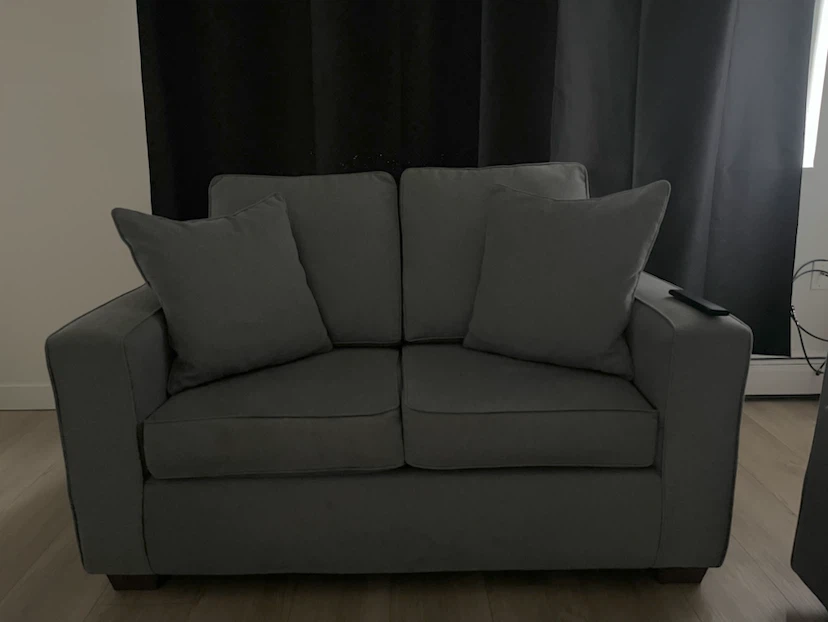 Grey Loveseat Sofa