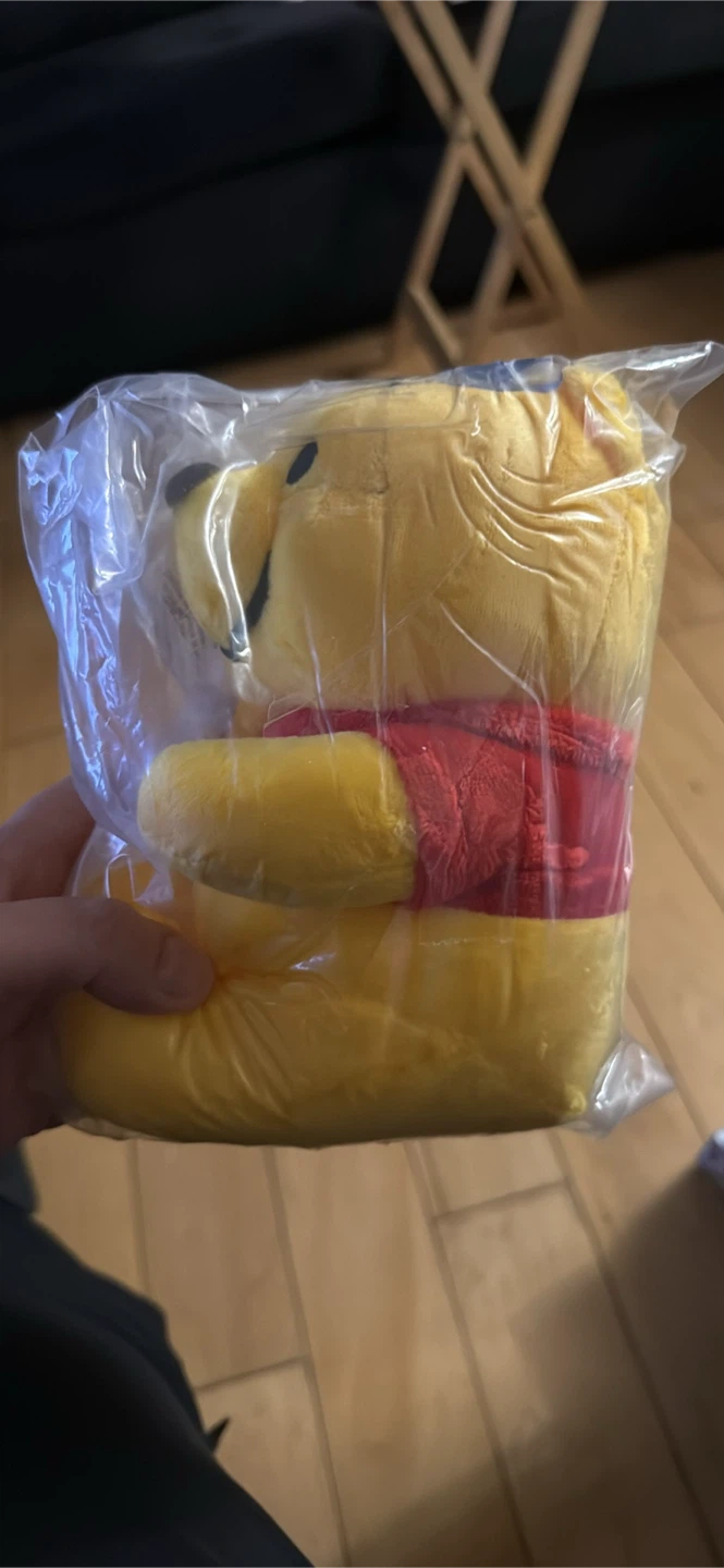 Winnie the Pooh Plush Toy