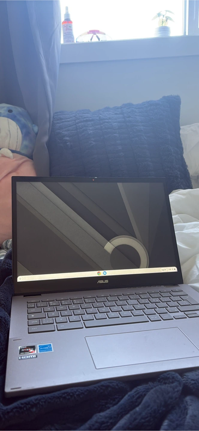 ASUS Chromebook Plus - photo 5