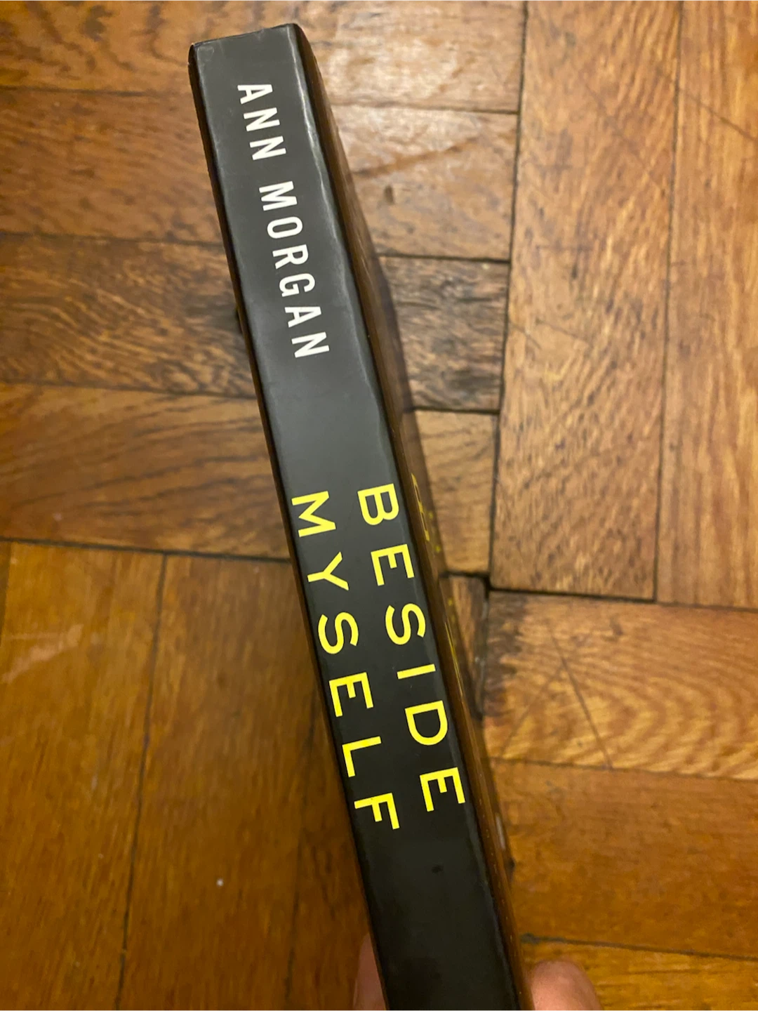 Beside Myself by Ann Morgan - photo 2