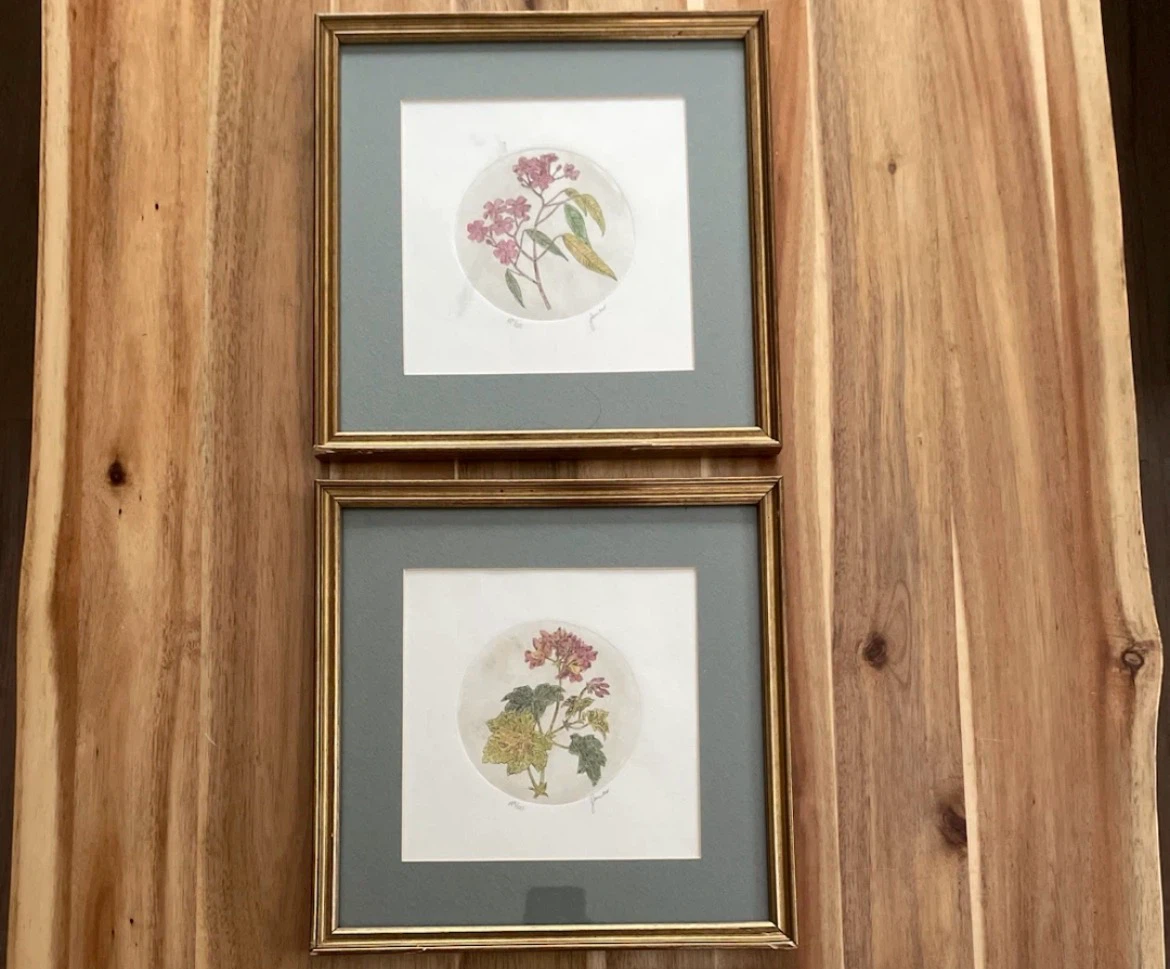 Framed Botanical Art Prints (Set of 2)