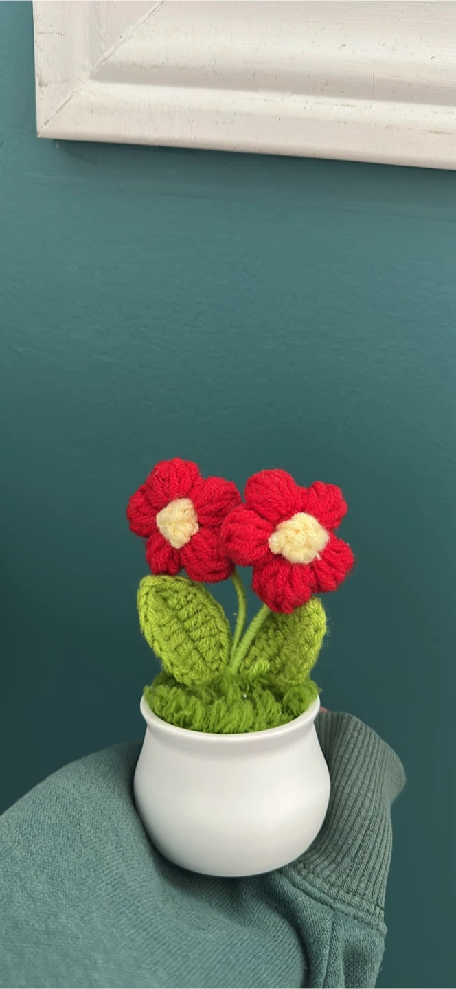 Crochet Flower Pot