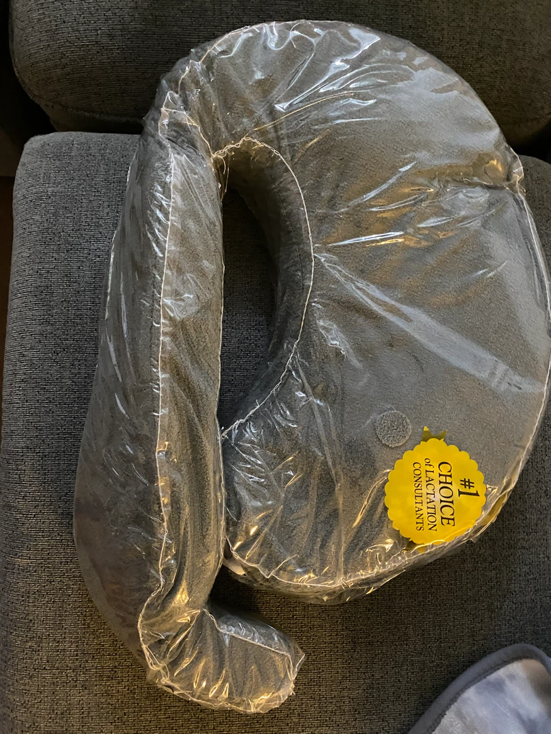 Boppy Nursing Pillow