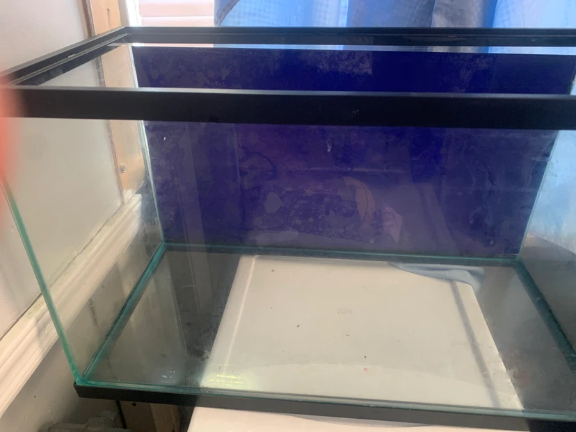 Fish tank