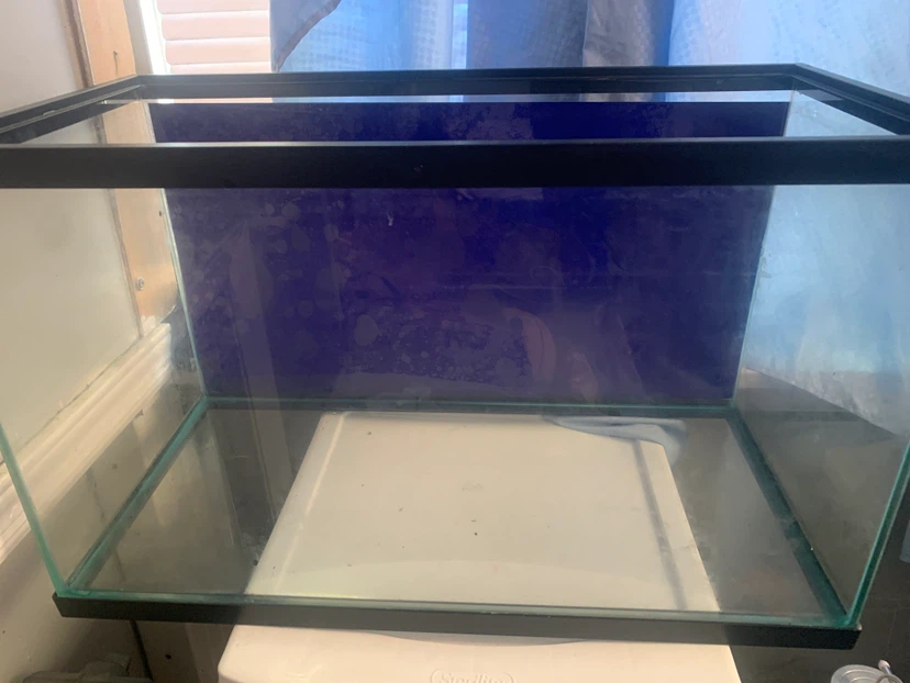 Fish tank - photo 3