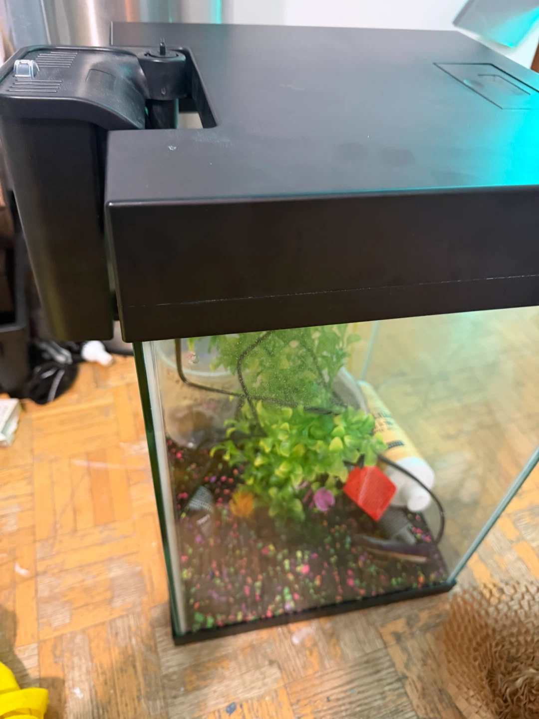 Big vertical fish tank