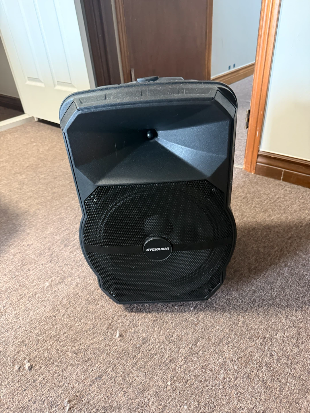 Sylvania 12 inch Bluetooth Tailgate Speaker with LED