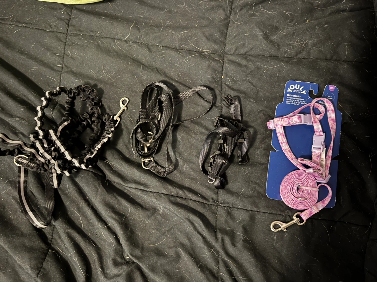 Youly Pink Kitten Harness and Leash Set with Black Accessories