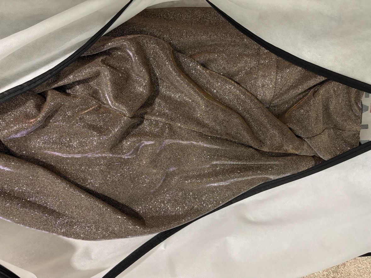 Sparkly Maternity Gown - photo 2