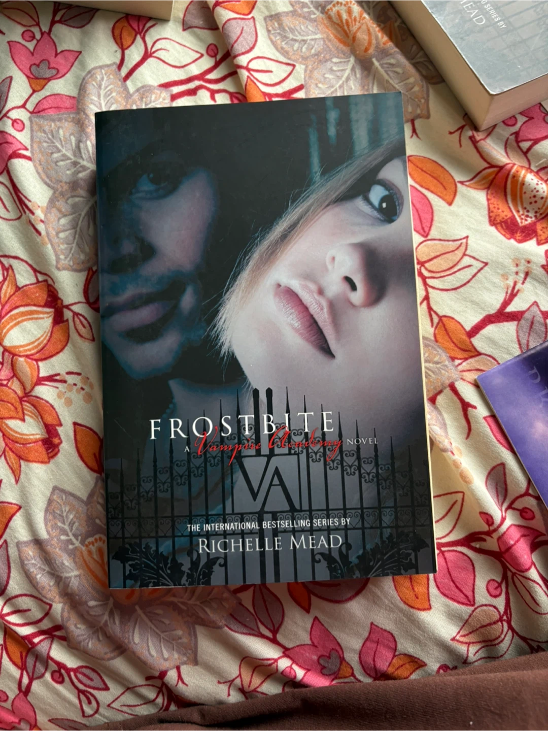 The vampire academy book set - photo 4