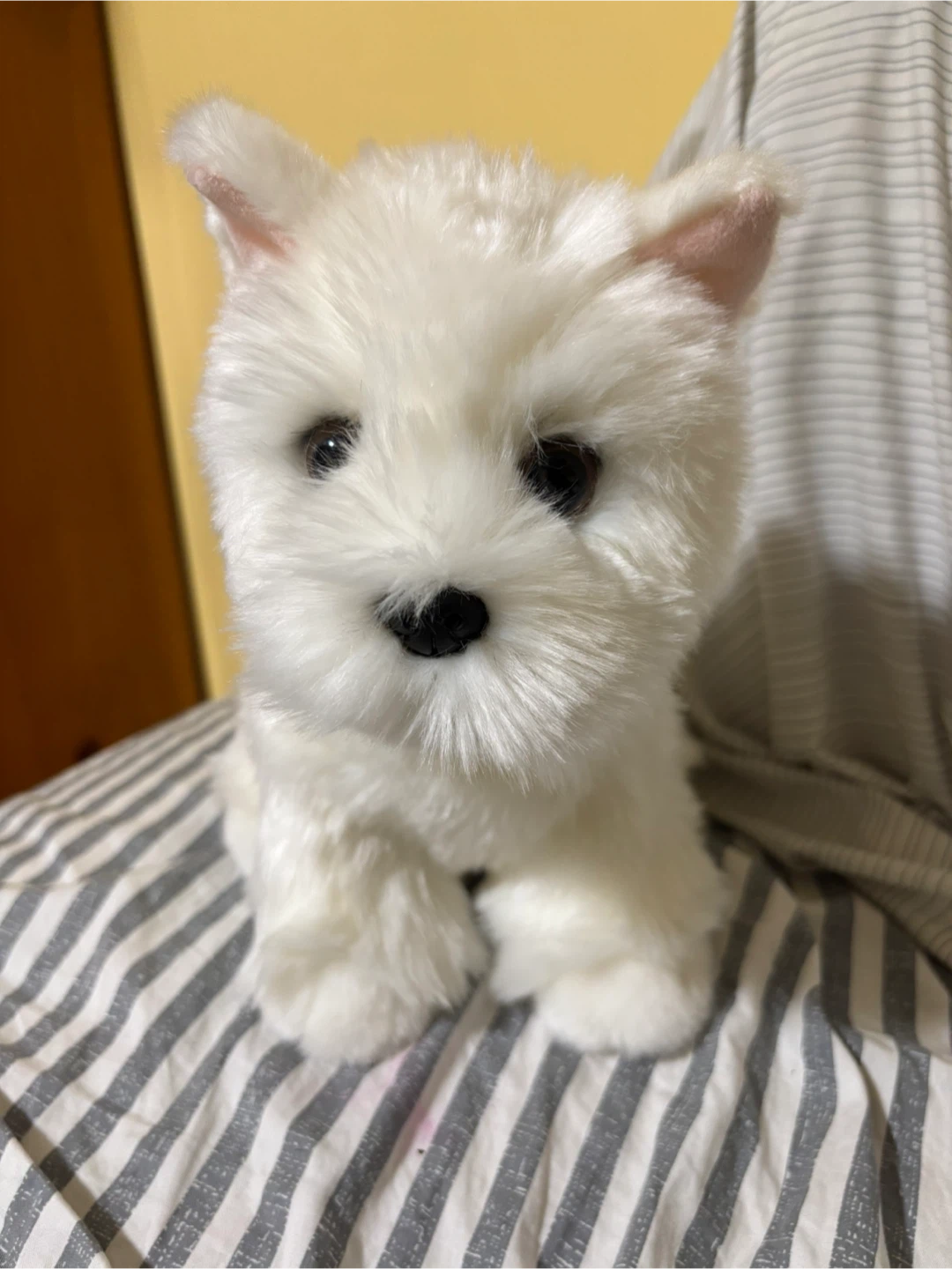 Harrods westie plush