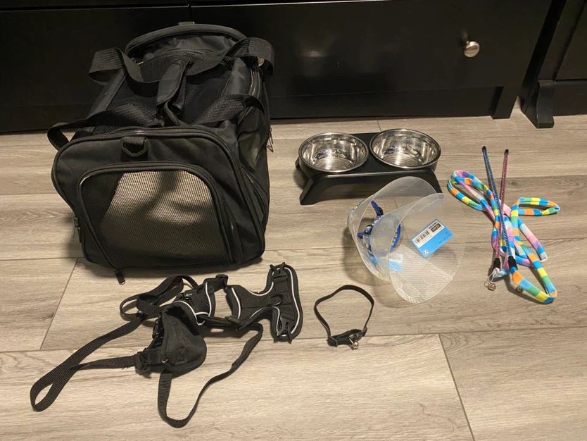 Cat Supplies