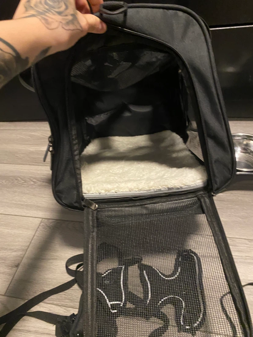 Cat Supplies - photo 4