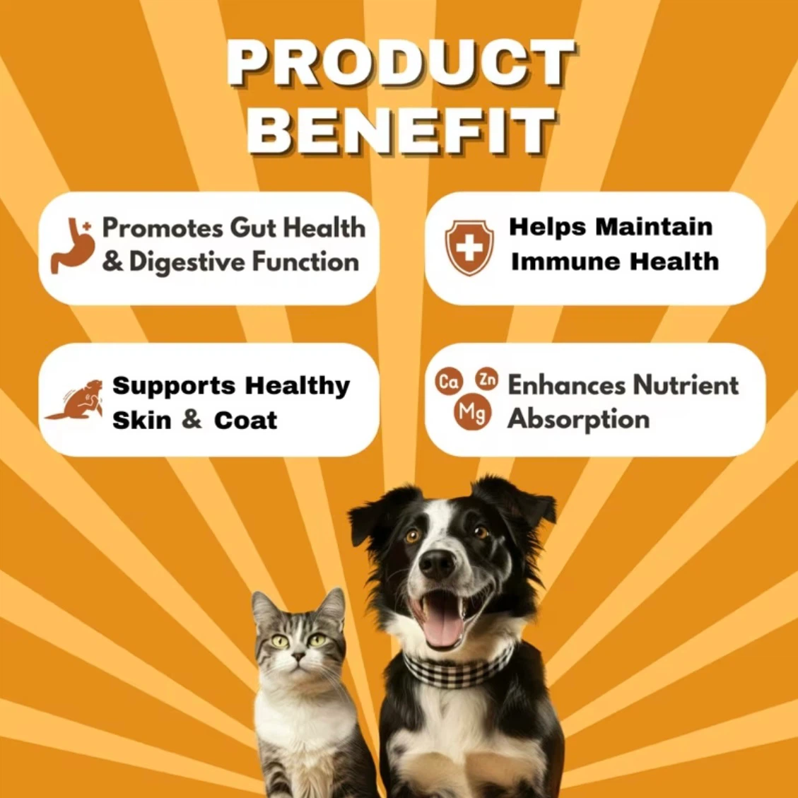 Vet's Choice Probiotic Chews for Dogs & Cats (Sample) - photo 2