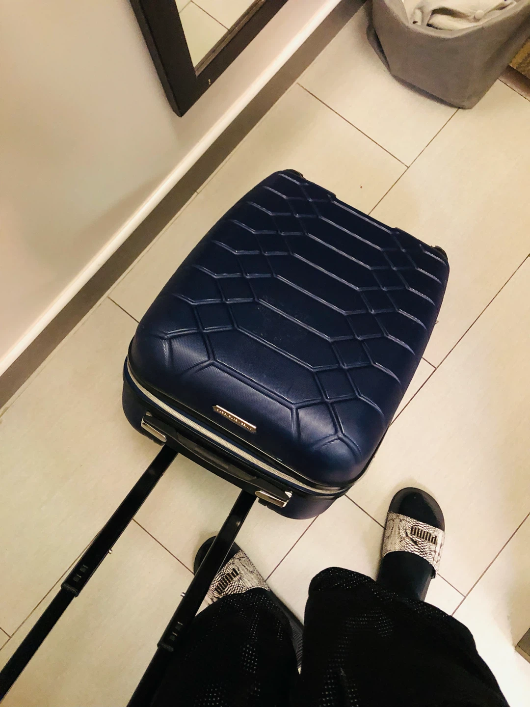 DELSEY Paris Luggage