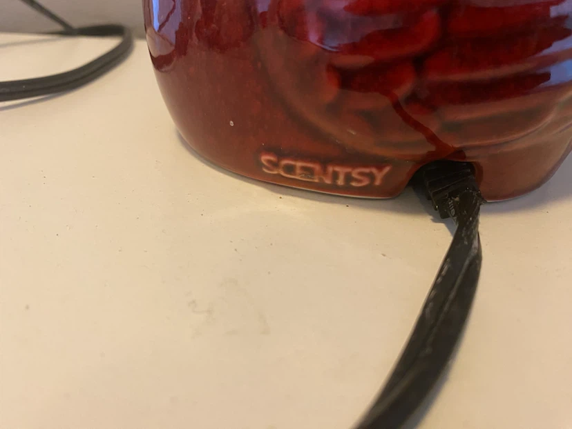 Scentsy Red Cardinal Wax Warmer - photo 3