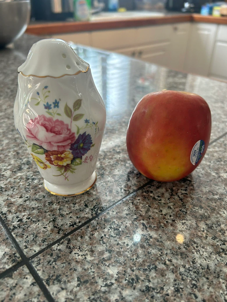 Aynsley Bone China Sugar Shaker - photo 2