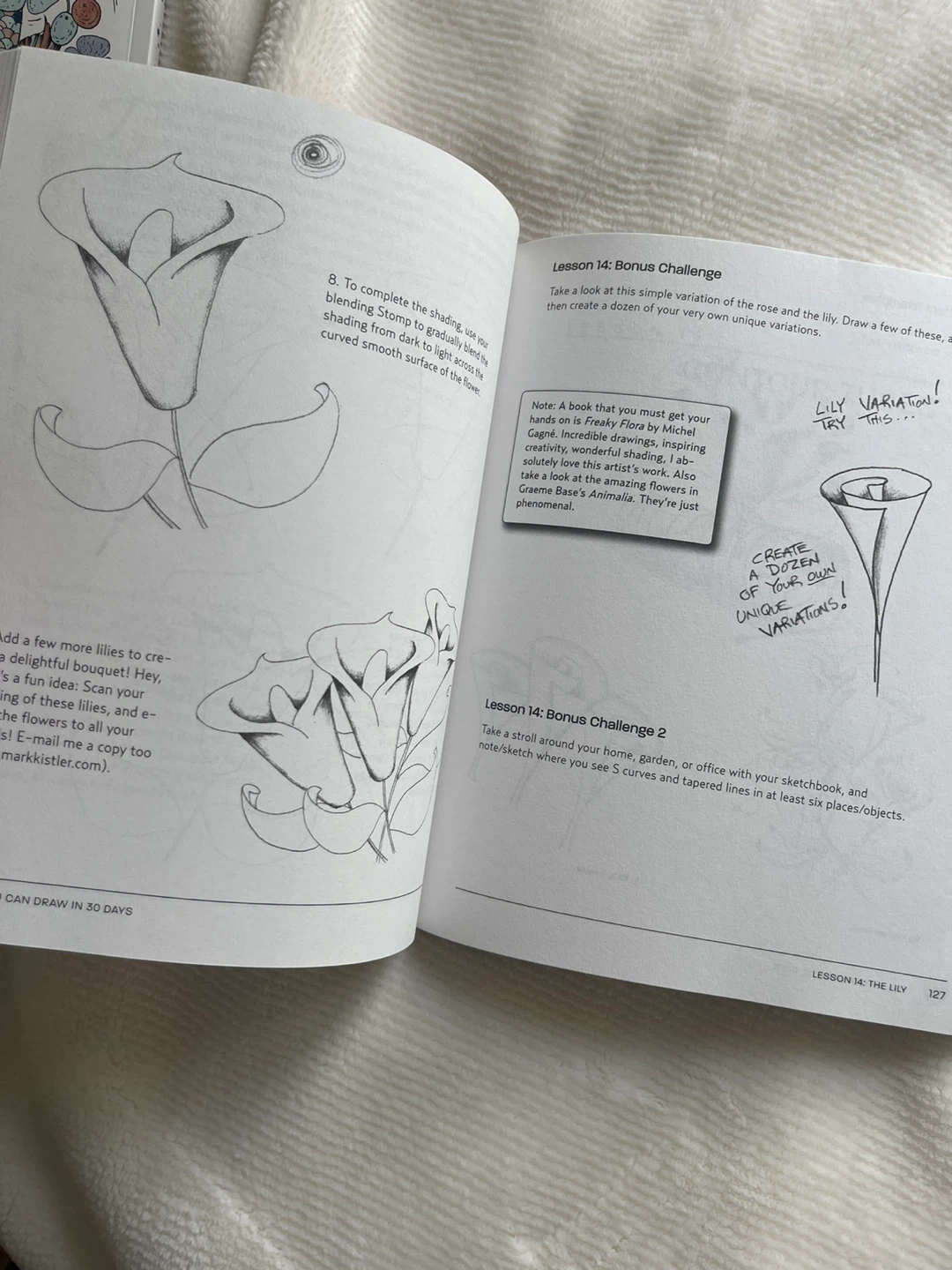 You Can Draw in 30 Days Book by Mark Kistler - photo 3