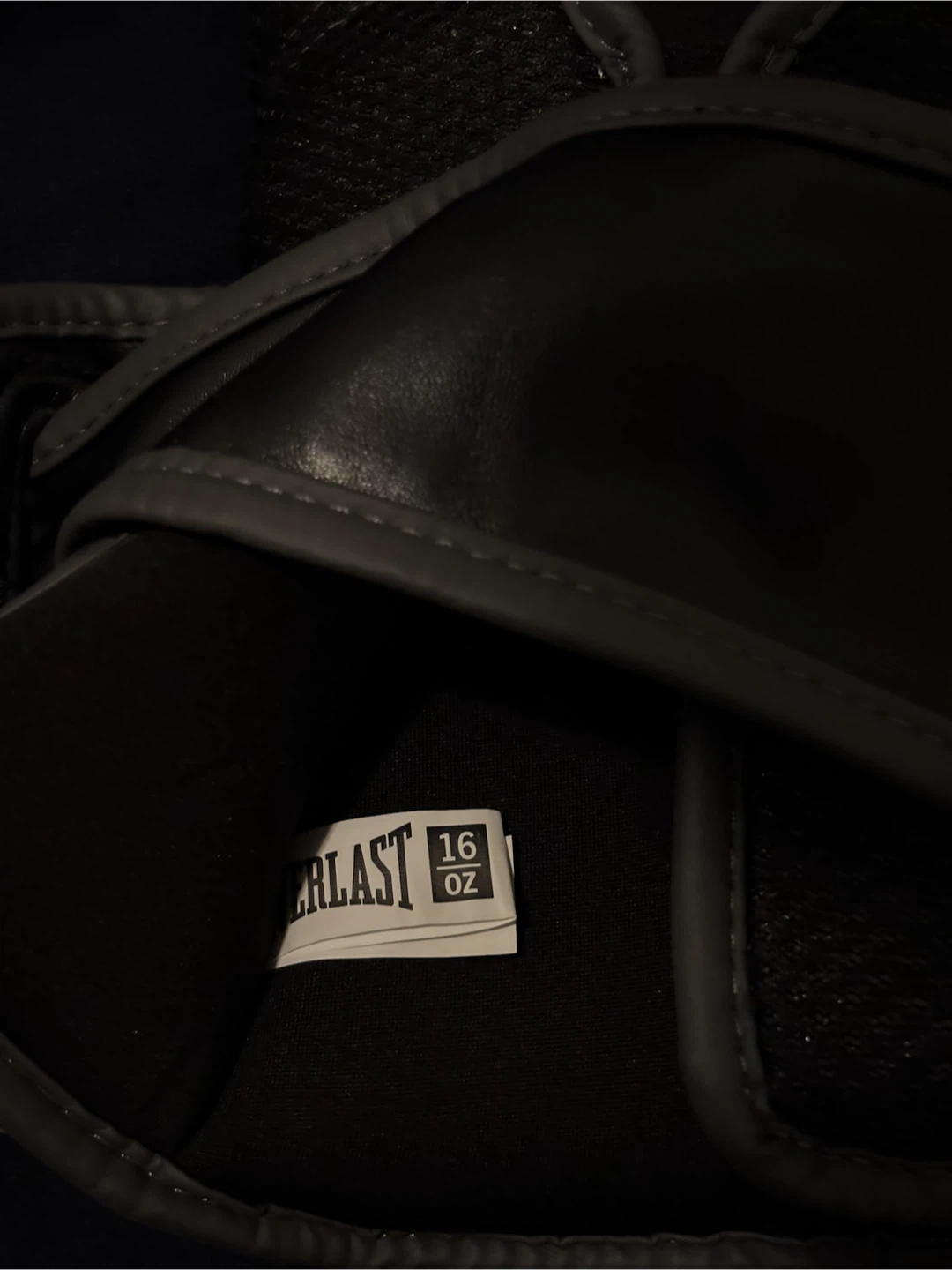Everlast Training Gloves 16oz - photo 3