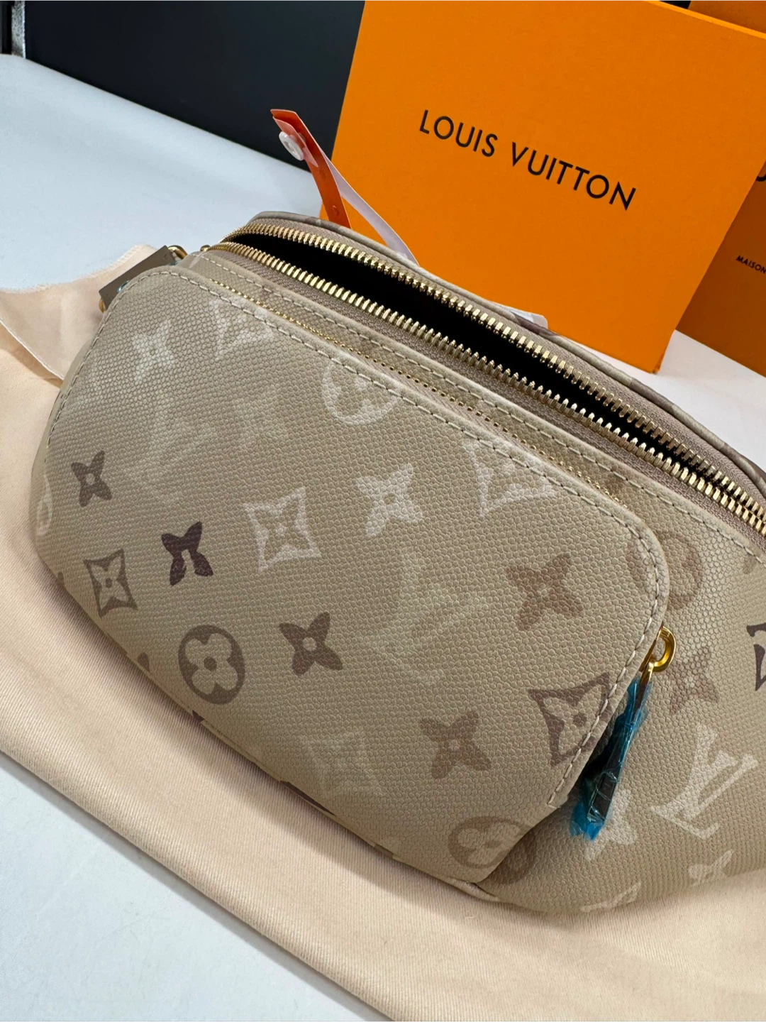 LV Rush Bum Bag - photo 3