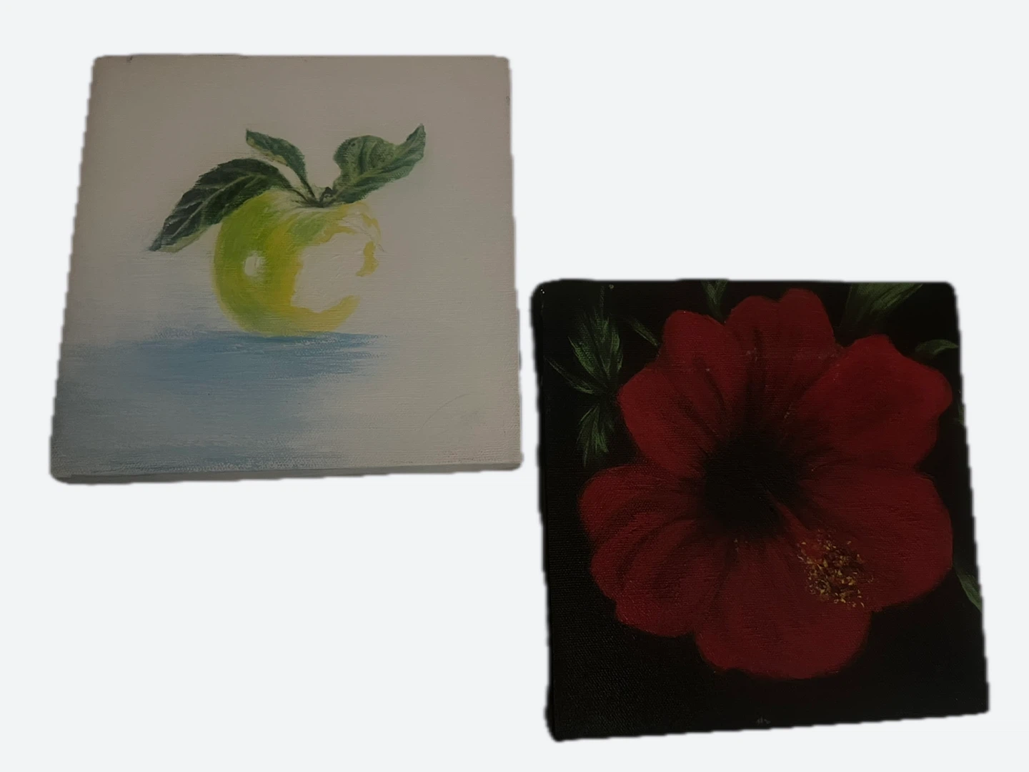 Set of two small paintings: apple and red hibiscus