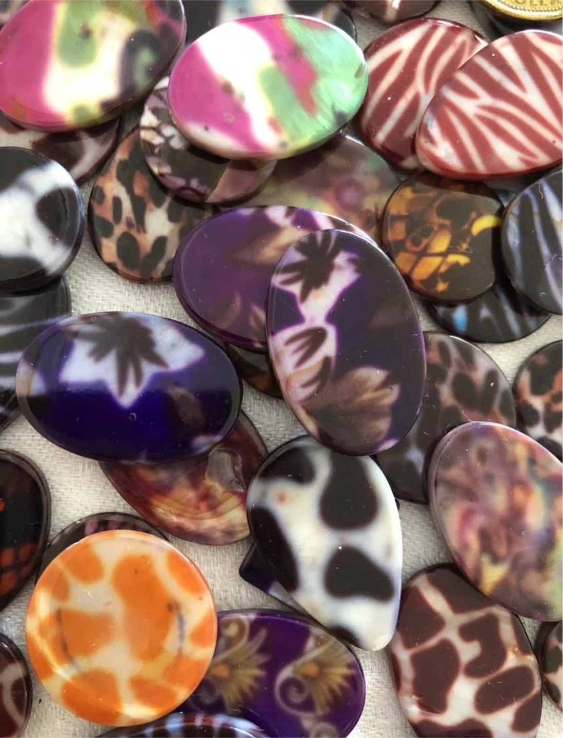 Painted Shells (pre-drilled,assorted)