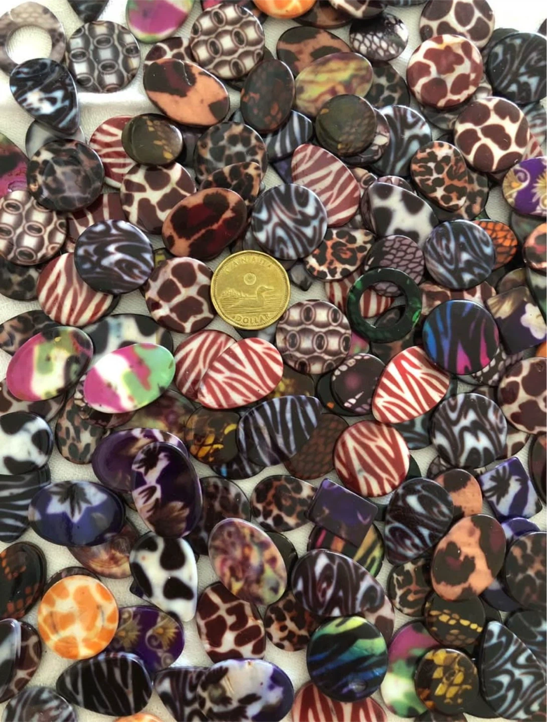 Painted Shells (pre-drilled,assorted) - photo 2