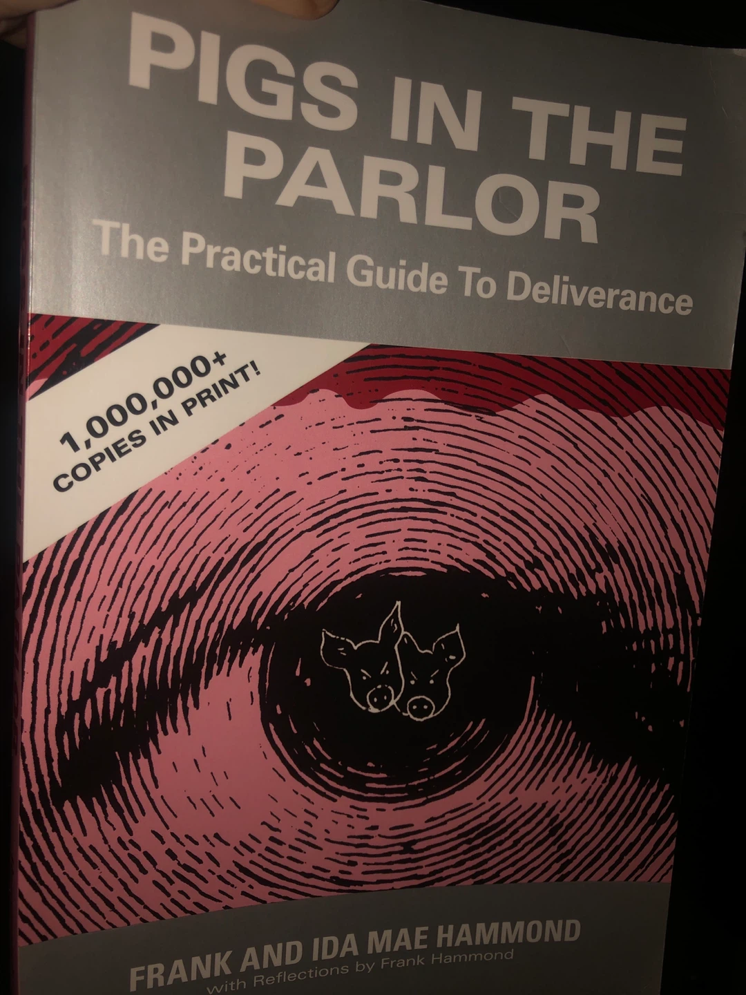 Pigs in the Parlor: The Practical Guide to Deliverance Book