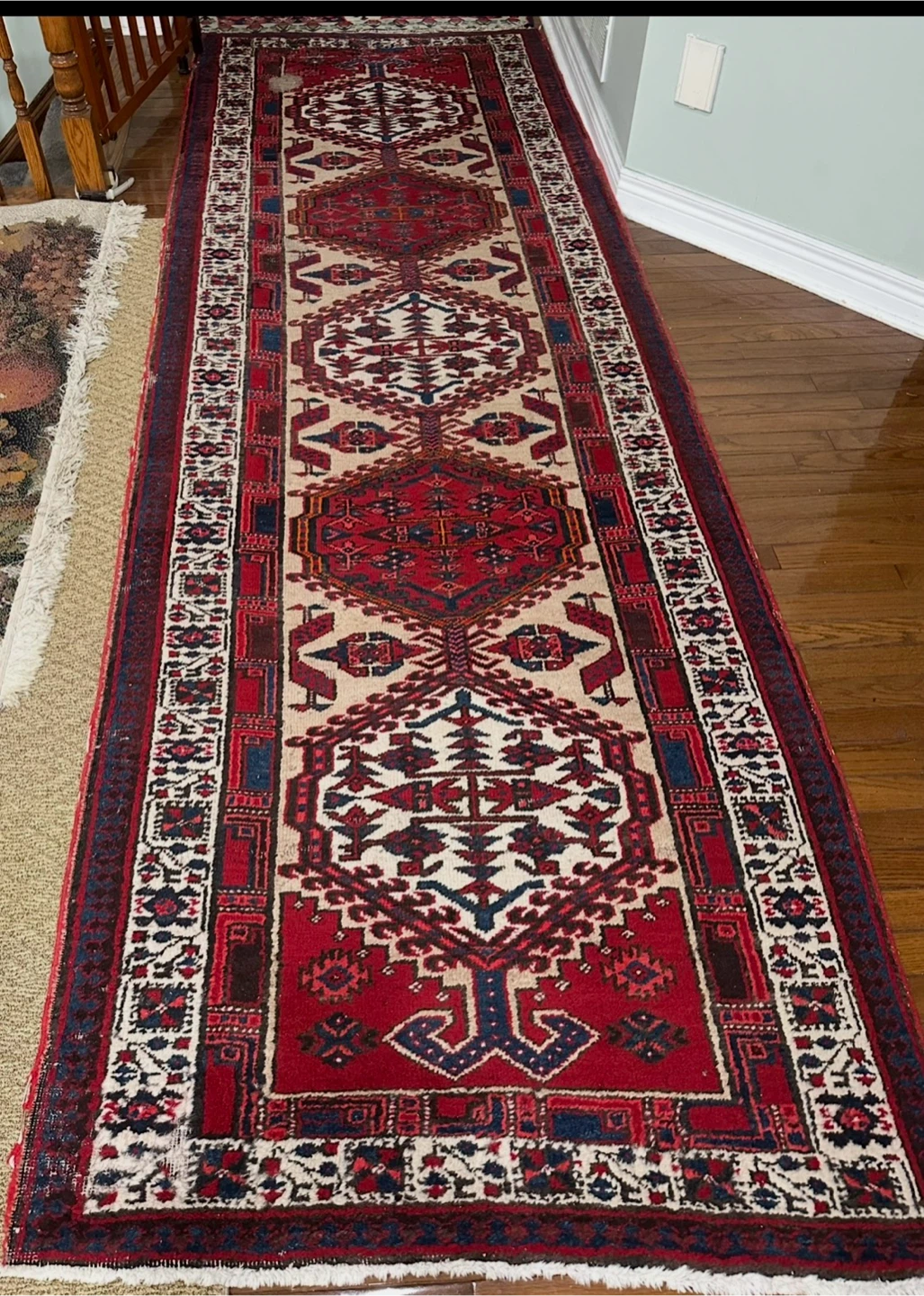 Red and Blue Oriental Runner Rug