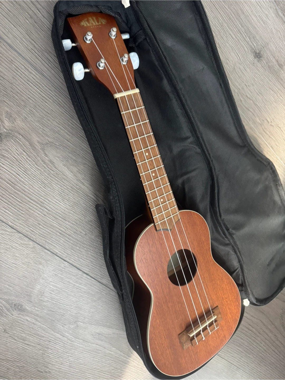 Ukulele with Bag