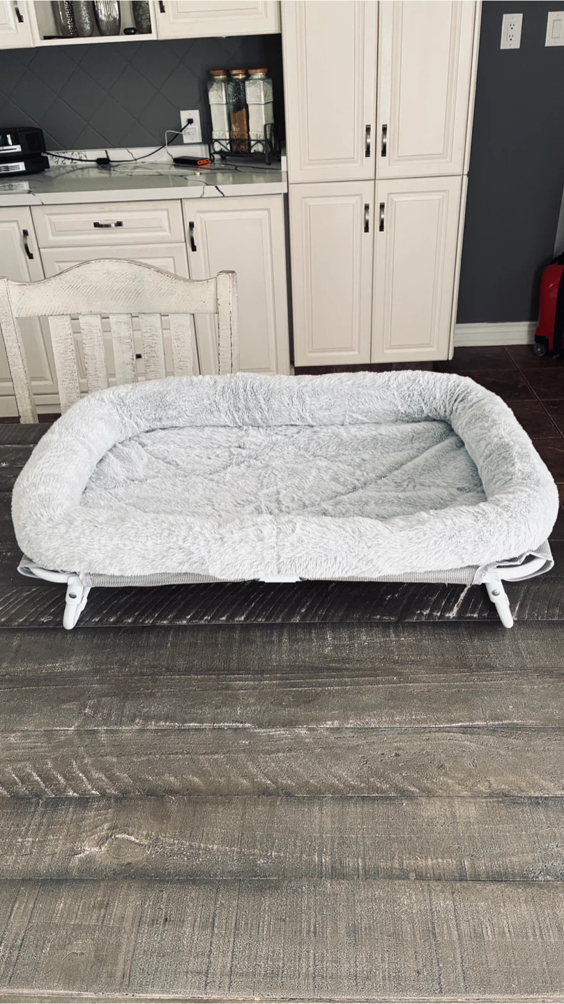 Raised small dog/cat bed in great condition & clean