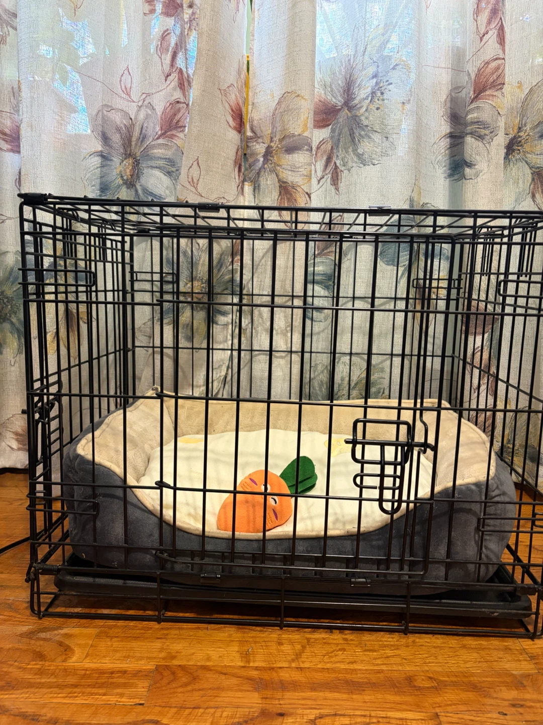 Dog Crate for Small Dogs