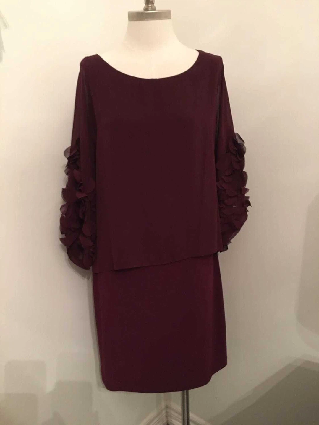 Dress with Ruffle Sleeves - Size 8