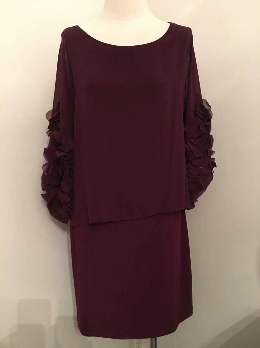 Dress with Ruffle Sleeves - Size 8 - photo 2