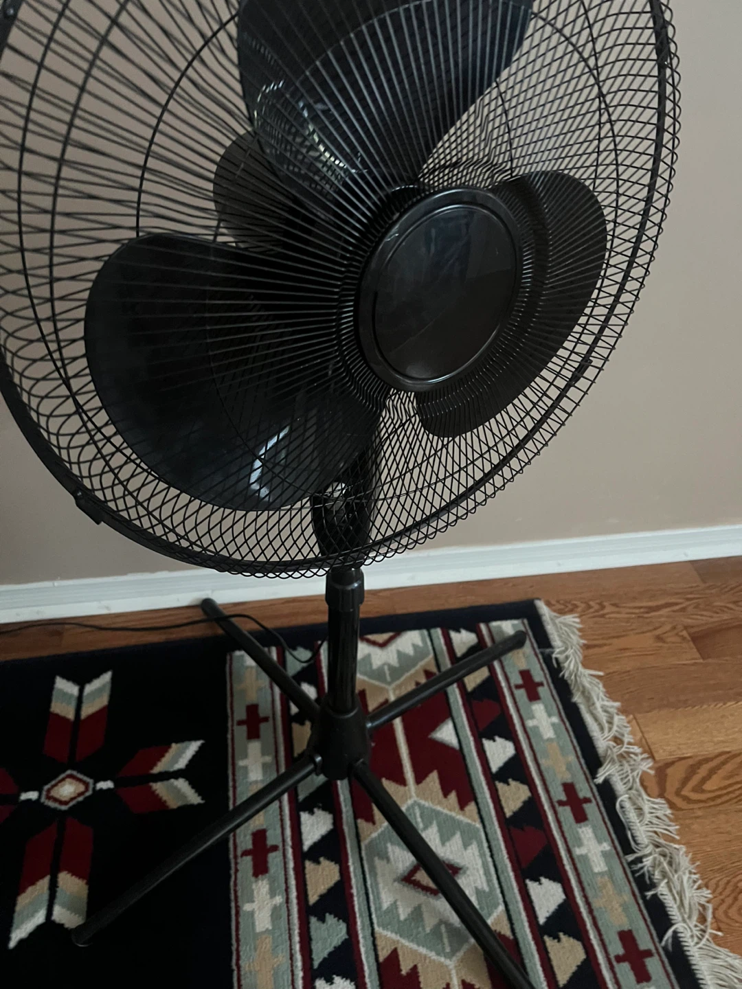 Black Pedestal Fan