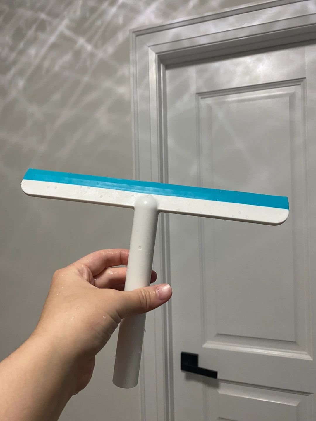 Squeegee