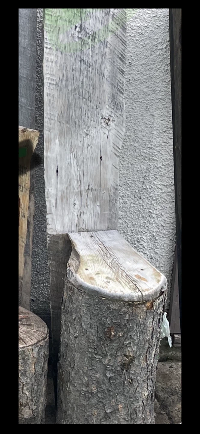 Rustic Log chair or plant stand