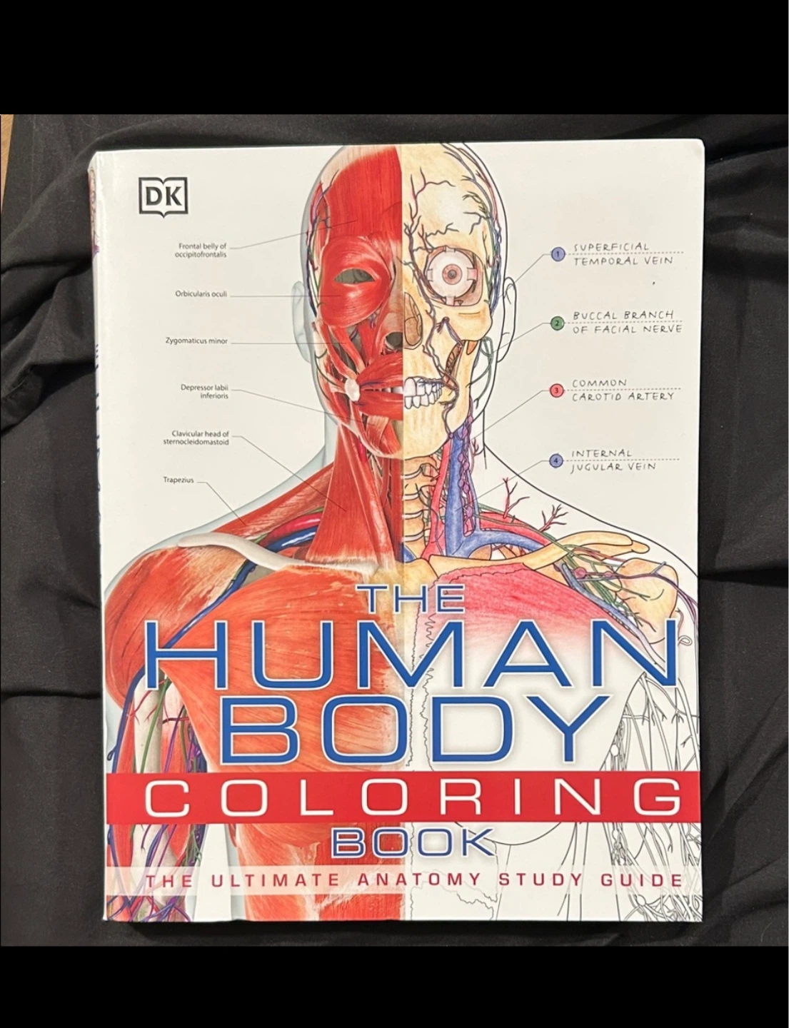 DK The Human Body Coloring Book