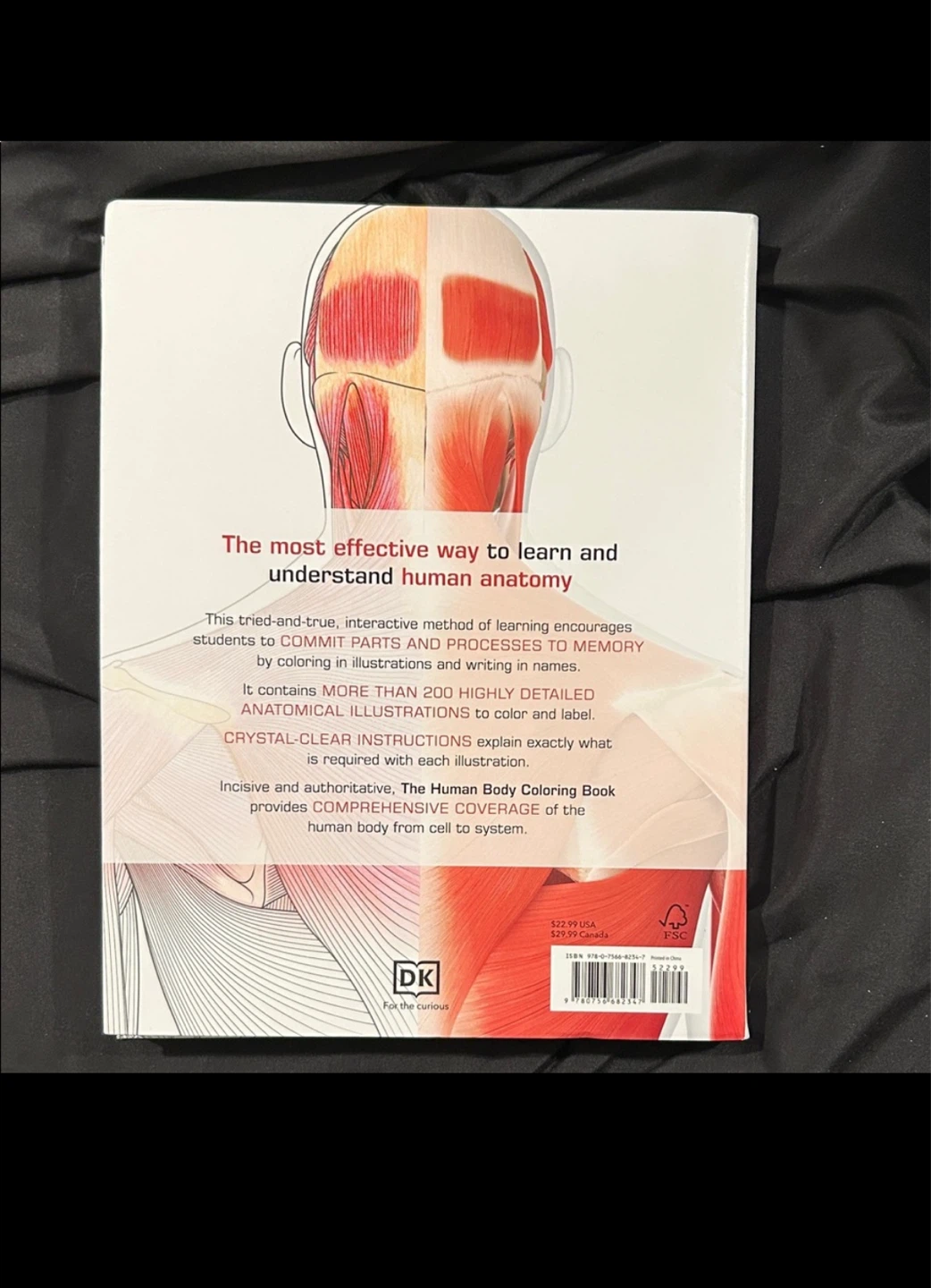 DK The Human Body Coloring Book - photo 2