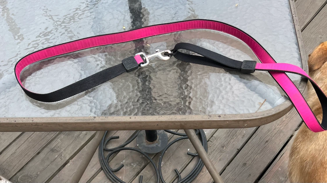 Pink and Black Dog Leash