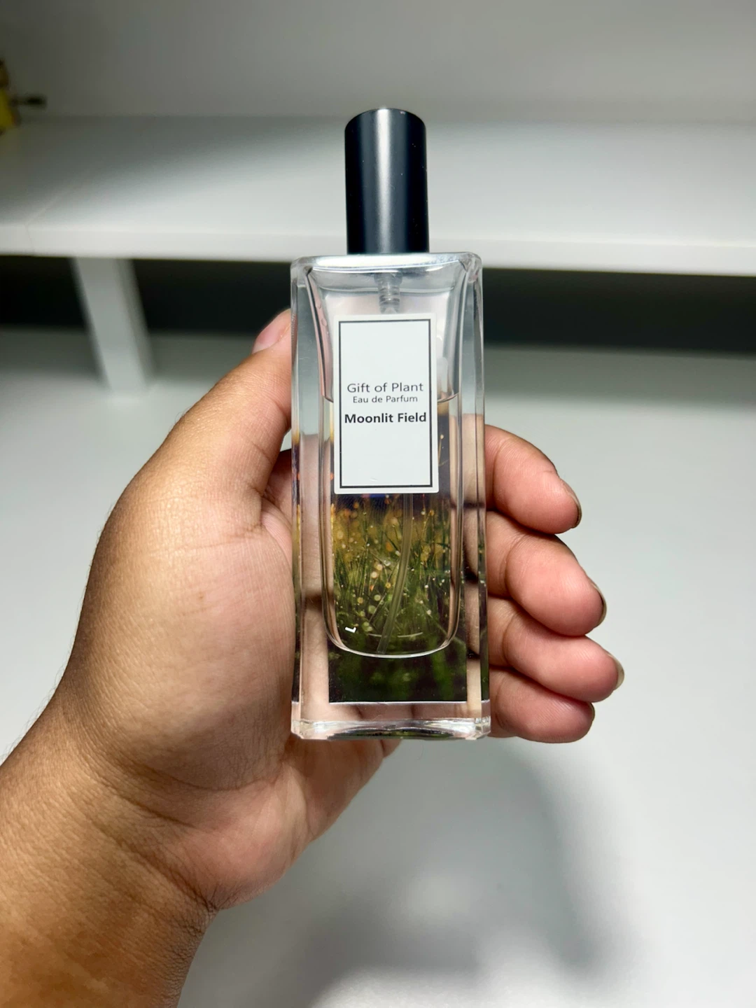 Perfume: Gift of Plant Moonlit Field Eau de Parfum