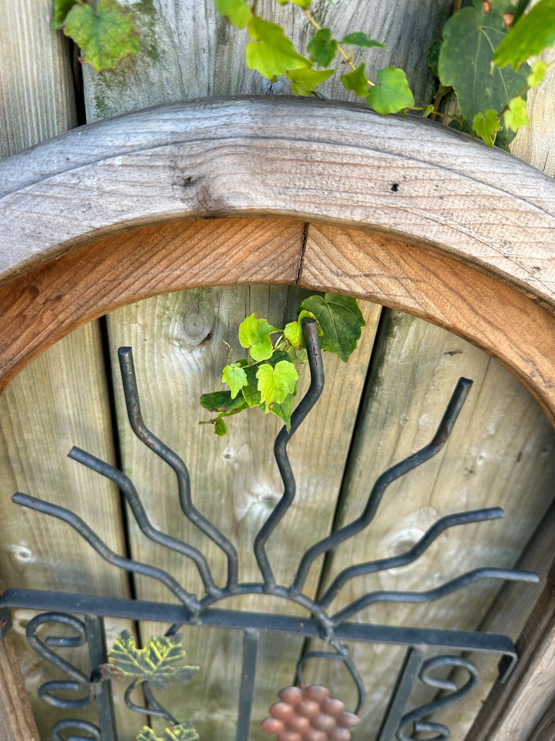 Garden decor - grapes with vines - photo 3
