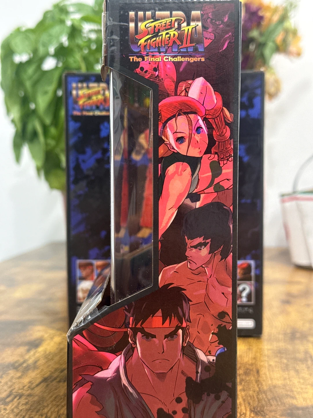 Ultra Street Fighter II The Final Challengers Dhalism - photo 2