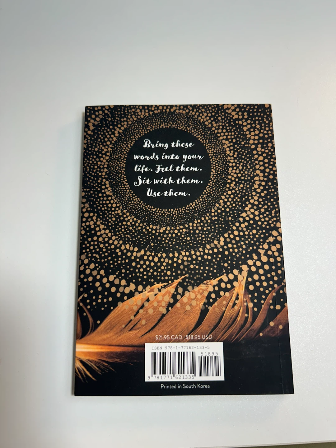 Embers: One Ojibway's Meditations by Richard Wagamese - photo 2