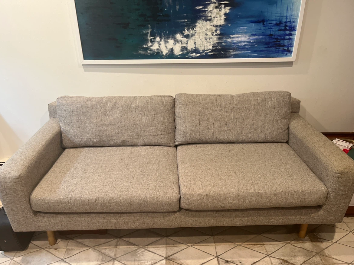 Light Gray West Elm sofa